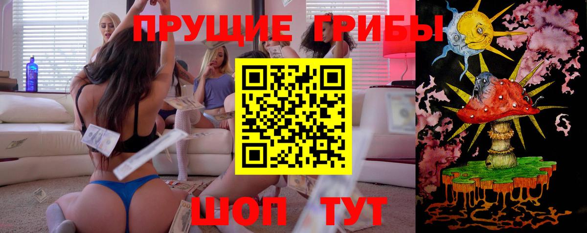 Галлюциногенные грибы MAGIC MUSHROOMS  Вход с VPN  Ярославль  Галлюциногенные грибы Cubensis 